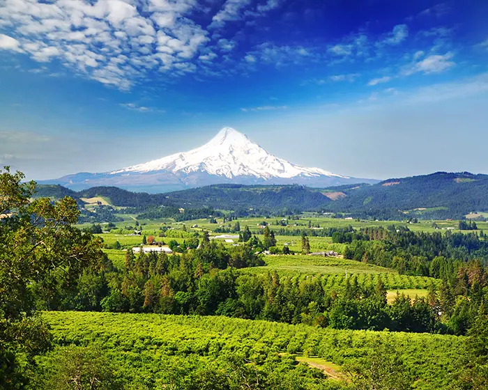 View of Mt. Hood from wester Oregon, showing farmland and vineyards